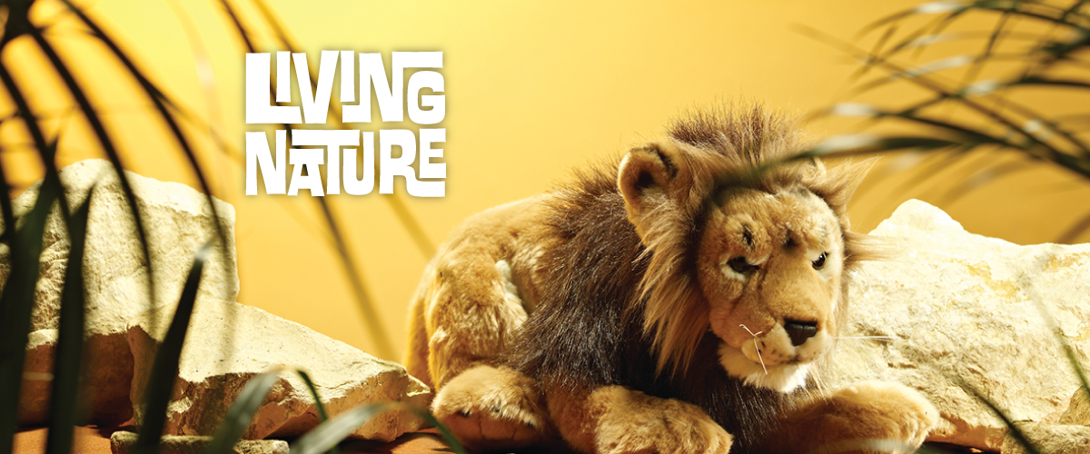 LIVING-NATURE-1-May-26-1200x500